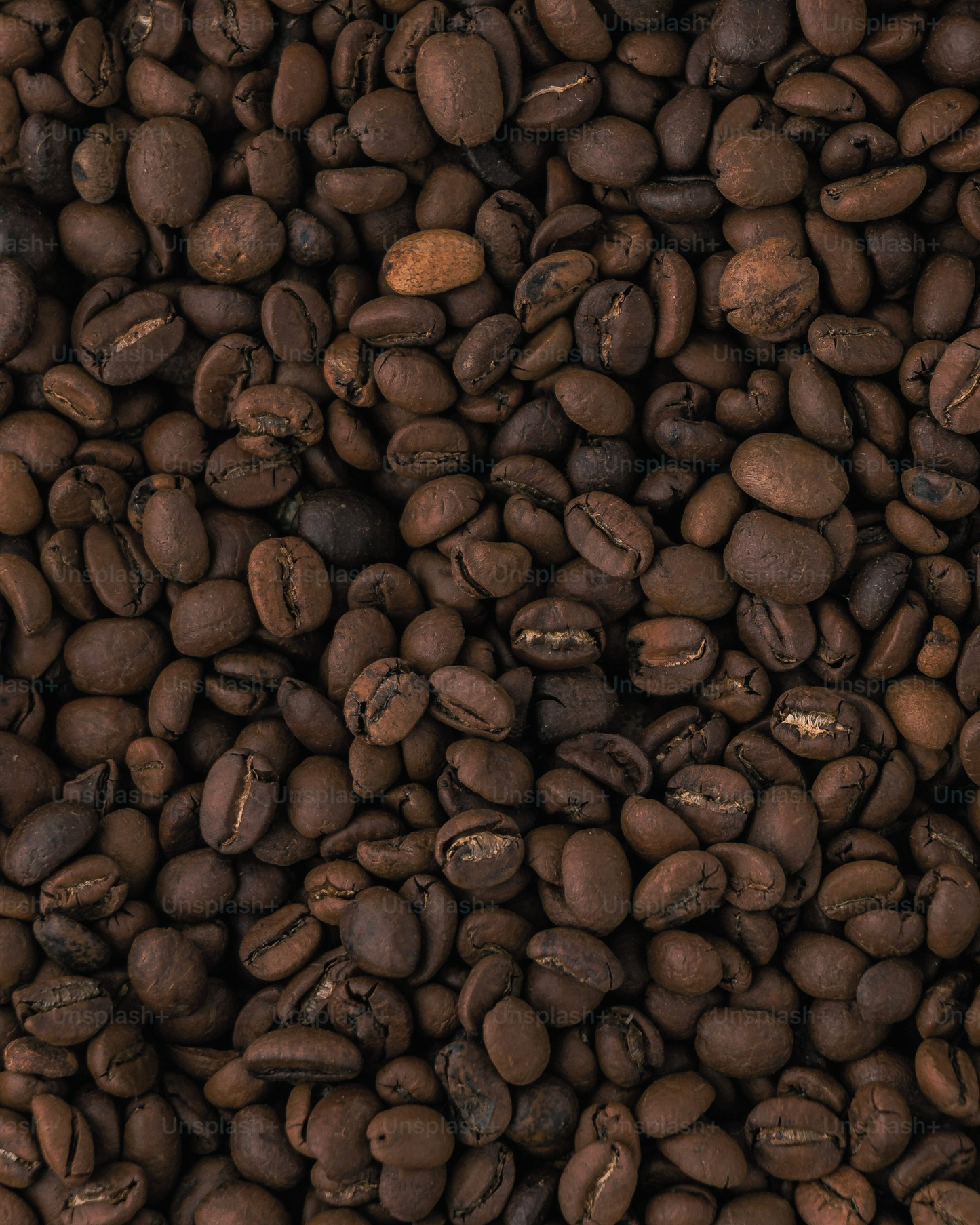 65% Coffee Bar